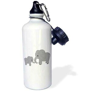 3dRose Mom and Baby Elephant Sports Water Bottle, 21 oz, Multicolor