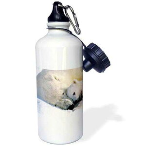 3dRose Polar Bear and Cub Sports Water Bottle, 21 oz, White