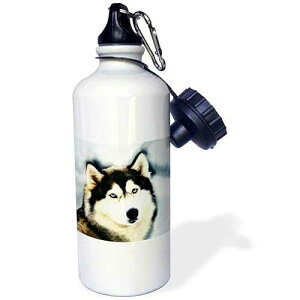 3dRose Staring Siberian Husky Sports Water Bottle, 21 oz, White