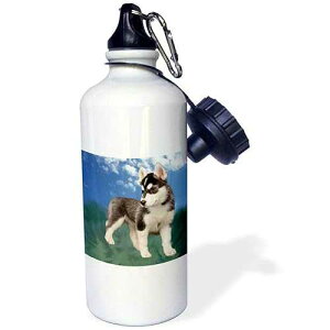 3dRose Siberian Husky Puppy Sports Water Bottle, 21 oz, White