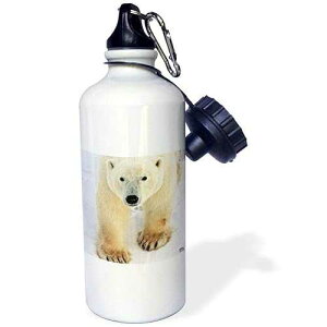 3dRose Polar Bear Close-up - Sports Water Bottle, 21 oz, White