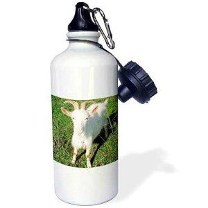3dRose "The Goat animal, farmyard, goat, goats, herd, cute, billy goat" Sports Water Bottle, 21 oz, White