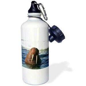 3dRose Bull Walrus Sports Water Bottle, 21 oz, White
