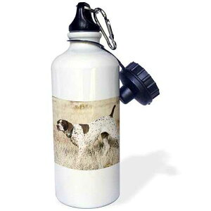 3dRose German Shorthair Pointer Sports Water Bottle, 21 oz, White