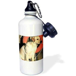 3dRose "Yellow Labrador Lab" Sports Water Bottle, 21 oz, White