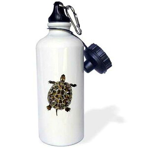 3dRose "Cute Turtle" Sports Water Bottle, 21 oz, White