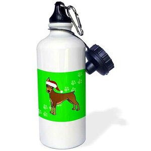3dRose "Cute Doberman Pinscher Red Coat Cartoon Dog Green with Santa Hat" Sports Water Bottle, 21 oz, White