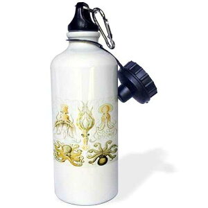 3dRose Picture Of 1800 Drawing Of Famous Biologist Squids Sports Water Bottle, 21 oz, White