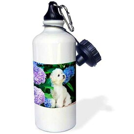 3dRose "Adorable Bichon Frise Puppy Among Hydrangeas" Sports Water Bottle, 21 oz, White