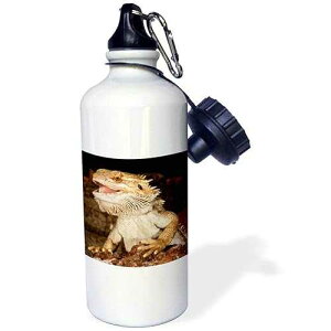 3dRose Bearded Dragon Lizard, Native To Australia-Na02 Dno0680-David Northcott Sports Water Bottle, 21 oz, White