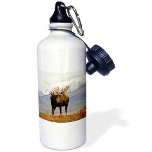 3dRose Moose Bull Wildlife, Denali National Park, Alaska-Us02 Ska3065-Steve Kazlowski Sports Water Bottle, 21 oz, White