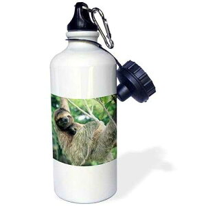 3dRose Three-Toed Sloth Wildlife, Corcovado Np, Costa Rica-Sa22 Ksc0137-Kevin Schafer Sports Water Bottle, 21 oz, White