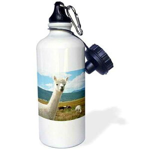 3dRose Victory Ranch Alpaca Farm, Mora, New Mexico-Us32 Jmr0359-Julien Mcroberts Sports Water Bottle, 21 oz, White