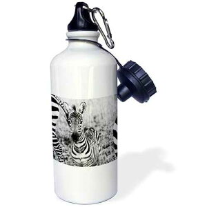 3dRose Brooklyn Bridge, East River, Part of Nyc Skyline in Sepia Sports Water Bottle, 21 oz, White