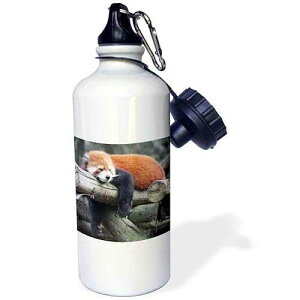 3dRose Adorable Red Panda, Sichuan Province, China Sports Water Bottle, 21 oz, White