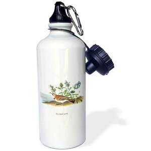 3dRose Horned Lark by John James Audubon Sports Water Bottle, 21 oz, White