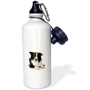 3dRose wb_195151_1 Border Collie Sports Water Bottle, Multicolor, 21 oz