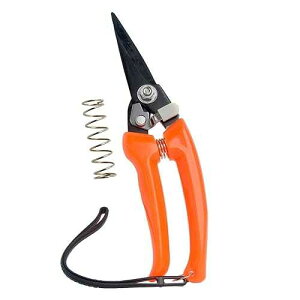 Mg}[ rg~O ܐ؂ Yf|؃g}[  |͂ 8C` Hongmei Outdoors Goat Hoof Trimmers Sheep Hoof Trimming Shears Nail Clippers Carbon Steel Shrub Trimmer Floral Shears Gardening Sci
