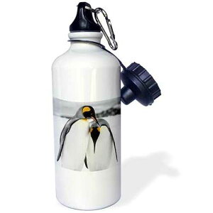 3dRose South Georgia Island, Salisbury, Plain, King Penguins Flip Straw 21oz Water Bottle
