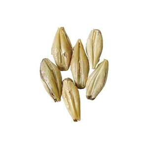 �����g - �r�N�g���[ - 1�|���h Brewmaster Malt - Victory - 1 lb