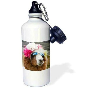 3dRose Alpaca, Pachacoto, Cordillera Blanca, Ancash, Peru Sports Water Bottle, 21 oz, Multicolor