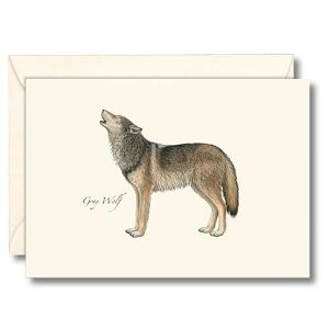 Earth Sky + Water - nCCIIJ~ m[gJ[hZbg - tuNJ[h 8  Earth Sky + Water - Gray Wolf Notecard Set - 8 Blank Cards with Envelopes