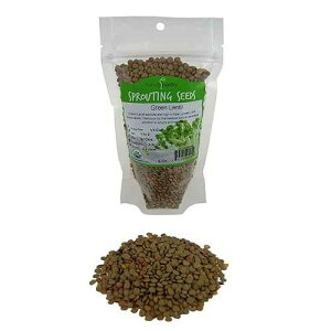 L@Yq: 8IX - ̎qAX[vA܂̓XvEgT_AXvEg̐Atp̊Y Handy Pantry Organic Dried Green Lentil Sprouting Seed: 8 Oz - Dry Lentils for Pl