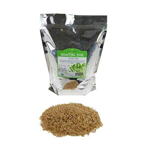 2|h̗L@GMOSI[gqiktj - I[cqAAI[gAAۊǂȂǂ Handy Pantry 2 Lb Organic Non-GMO Whole Oat Grain Seeds (With Husk Intact) - Oats Seed Grains, for Sprou