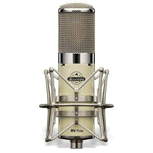 Avantone Pro CK-6 �N���V�b�N ���[�W �_�C�A�t���� �R���f���T�[ �}�C�N Avantone Pro CK-6 Classic Large-Diaphragm Condenser Microphone