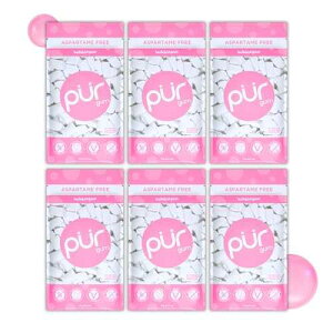 PUR Gum Aspartame Free Chewing Gum 100% Xylitol Natural Bubblegum Flavored Gum, 55 Pieces (Pack of 6)