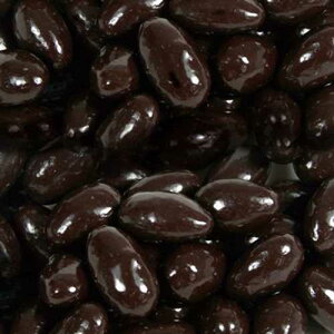 �����s�g�p�̃_�[�N�`���R���[�g�ŕ���ꂽ�A�[�����h Bayside Candy Sugar Free Dark Chocolate Covered Almonds