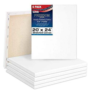 U.S. Art Supply 20 x 24 inch Stretched Canvas 12-Ounce Triple Primed, 6-Pack - Professional Artist Quality White Blank 3/4" Profile, 100% Cotton, Heavy-Weight Gesso - Acrylic Pouring, Oil ting