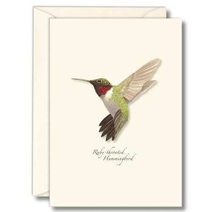 Earth Sky + Water - mhn~Oo[h m[gJ[h Zbg - uN J[h 8 At Earth Sky + Water - Ruby-throated Hummingbird Notecard Set - 8 Blank Cards with Envelopes