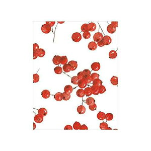 Caspari Berry Gathering MtgJ[hAt 20  Caspari Berry Gathering Gift Enclosure Cards, 20 with Envelopes