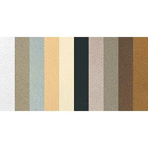 Canson Mi-Teintes `V[gA19 x 25 C`AJ[̋lߍ킹A10  Canson Mi-Teintes Drawing Sheets, 19 x 25 Inches, Assorted Muted Colors, 10 Sheets