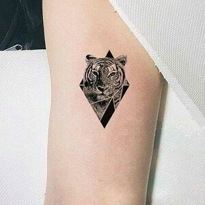 TAFLY �ꎞ�I�ȃ^�g�D�[ �^�C�K�[ �g���C�A���O�� �{�f�B�A�[�g �A�[�� �X�e�b�J�[ �h�� �t�F�C�N �^�g�D�[ 5 �� TAFLY Temporary Tattoo Tiger Triangle Body Art Arm Stickers Waterproof Fake Tattoos 5 Sheets