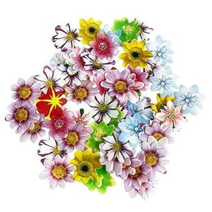 Hp~jt[JbvP[Lgbp[48Zbg EFfBOP[L ap[eB[ t[hfR[V TCY&J[ KOOTIPS Set of 48 Edible Mini Flower Cupcake Toppers Wedding Cake Birthday Pa