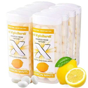 ?????? - ???? ?? | ?? ??? ?? ??? ??? ?? | ??? ??, ??, ?? ??? | ???? ?? | ?? | 60?? ?, 8? XyloBurst - Xylitol Mints | Sugar Free Breath Mints for Oral Health