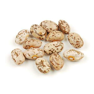�I�[�K�j�b�N�s���g�r�[���Y�A10�|���h�� D'allesandro Organic Pinto Beans, 10 Pound Box