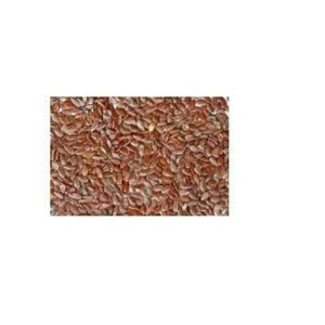 4 ??? ???: ?? ??? (1x11.3kg) Bulk Seeds Flax Seed Organic Brown - Single Bulk Item - 25LB