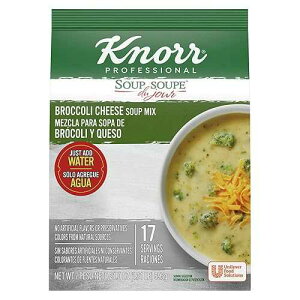 Knorr Professional Soup du Jour Broccoli Cheese Soup Mix Vegetarian, Gluten Free, No added MSG, 0g Trans Fat per Serving, Just Add Water, 21 Ounce (Pack of 4) Knorr Professional Soup du Jour Broccoli Cheese Soup