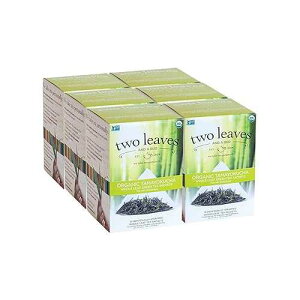 Two Leaves and a Bud Organic Tamayokucha Tea Bags, Whole Leaf Tea in Compostable Sachets, Japanese Green Tea, Light Flavor, 15 Count (Pack of 6) Two Leaves and a Bud Organic Tamayokucha Tea Bags, Whole Leaf Tea