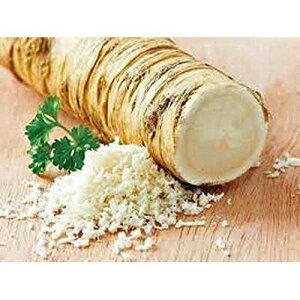 ??? ?? ???? ???? ?? ??? ?? ?? ???? ??, ? ? ???, 907g (??? ??). ??, ?? ?? ??? ????. ??? ???. COUNTRY CREEK ACRES GROWING IS IN OUR ROOTS Horseradish Root, Big