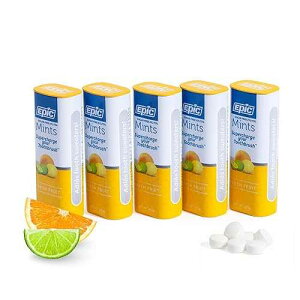 ?? ?? - ???? ??? 100% ???? ?? - ??? ?? ??? ?? ?, 55? (5? ?) Epic 100% Xylitol Mints - Aspartame Free, Sugar Free - Fresh Fruit Flavored Mints, 55 Pieces (Pack of 5)