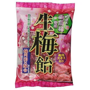 ��ڂ� ���~�n�[�h�L�����f�B�[�A3.87�I���X Ribbon(���{��) Ribon Nama Ume Plum Hard Candy, 3.87 Ounce