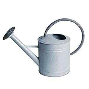 eBGK[f ȉ~`n傤 0.7K  36-5041S Tierra Garden 36-5041S Oval Aged Watering Can, 0.7-Gallon, Zinc