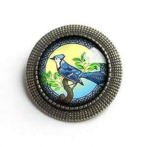 u[WFCKXƐ^J̃u[` The Divine Iguana Beautiful Blue Jay Glass and Brass Brooch