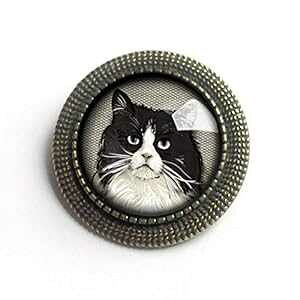 L̋tfRp[W KXƐ^J̃u[` The Divine Iguana Fat Black and White Cat Reverse Decoupage Glass and Brass Brooch
