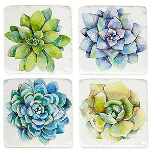 Midwest-CBK Midwest Succulent Plants Drink Coasters Set of 4 Resin