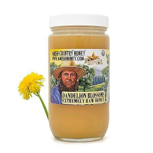 Goshen Honey Extremely Raw Dandelion Honey - Unfiltered, Unprocessed, Pure & Natural from Amish Country in the USA - Rich Flavor for Tea, Cooking, Wellness - Dairy & Gluten Free - 454 g / 16 Oz